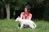 ADULTE ET CHIEN 446
